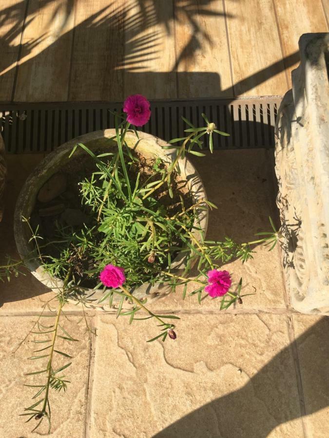 Tamoios Pousada Florestinha מראה חיצוני תמונה